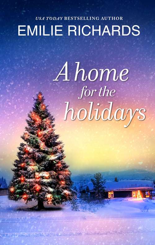 Book cover of A Home for the Holidays (Original)