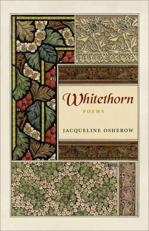 Book cover of Whitethorn: Poems (A History of the South)