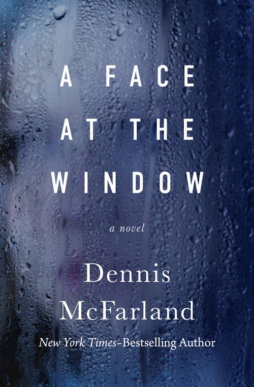 Book cover of A Face at the Window