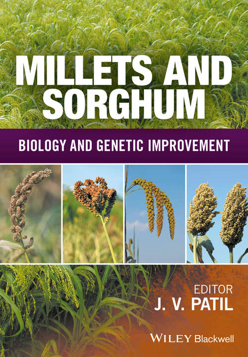 Book cover of Millets and Sorghum: Biology and Genetic Improvement