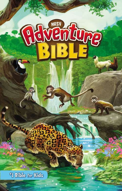 NRSV Adventure Bible