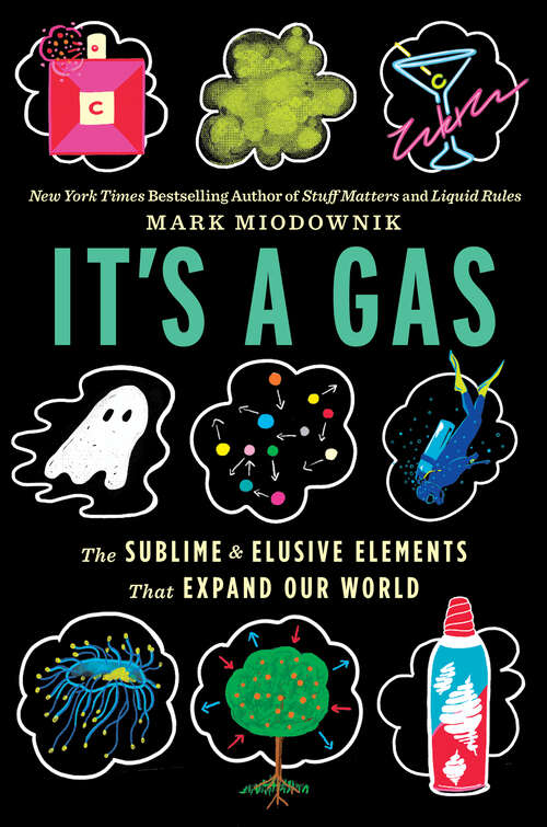 Book cover of It's a Gas: The Sublime and Elusive Elements That Expand Our World