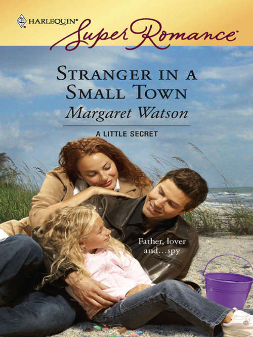 Book cover of Stranger in a Small Town