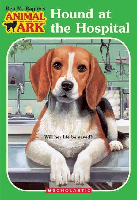 Book cover of Hound at the Hospital (Animal Ark #33)