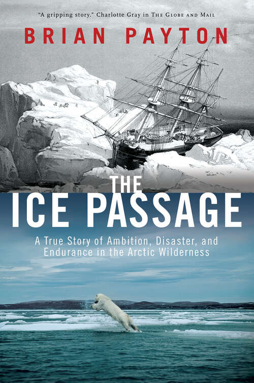 Book cover of The Ice Passage