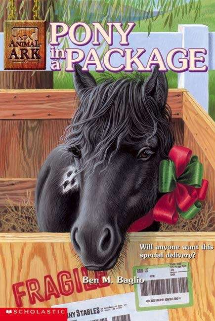 Book cover of Pony in a Package (Animal Ark #27)