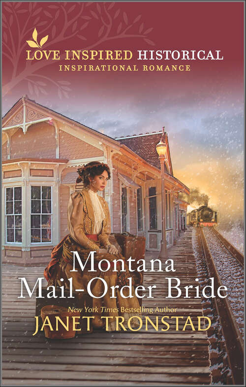Book cover of Montana Mail-Order Bride (Original)