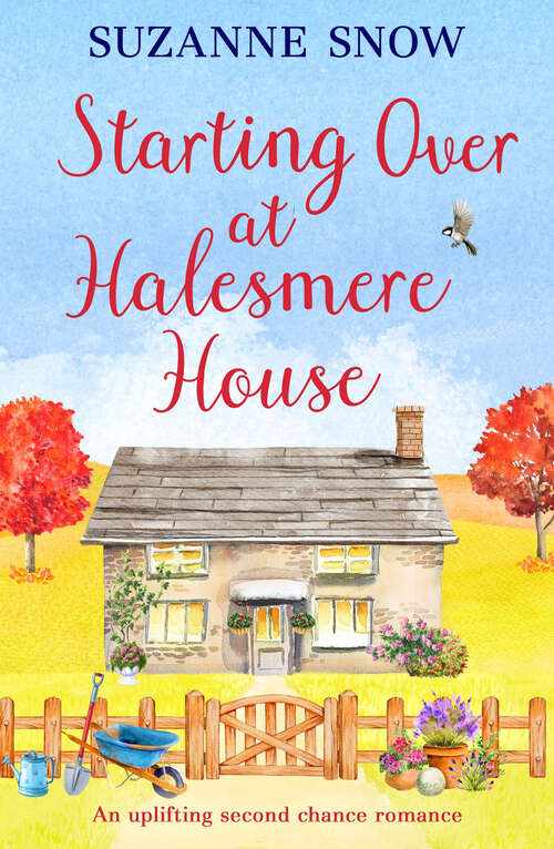 Book cover of Starting Over at Halesmere House (Love in the Lakes)