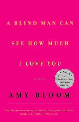Book cover of A Blind Man Can See How Much I Love You