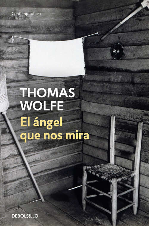 Book cover of El ángel que nos mira