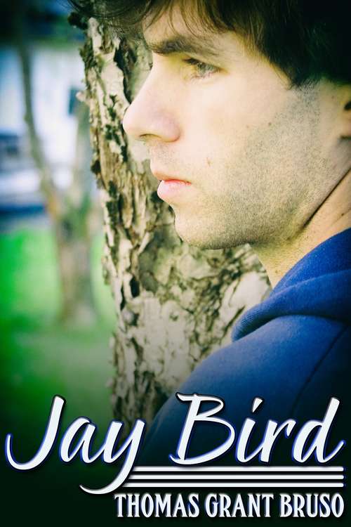 Book cover of Jay Bird