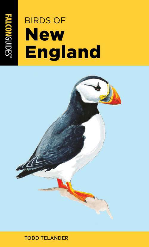 Book cover of Birds of New England (2nd Edition) (Falcon Pocket Guides)