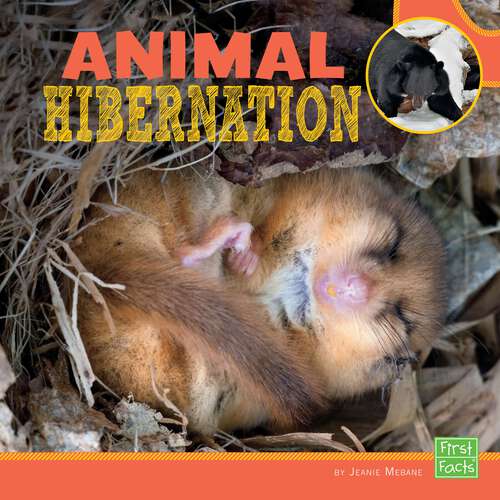 Book cover of Animal Hibernation (Learn About Animal Behavior Ser.)