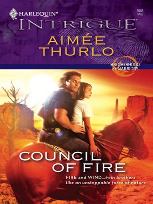 Book cover of Council of Fire