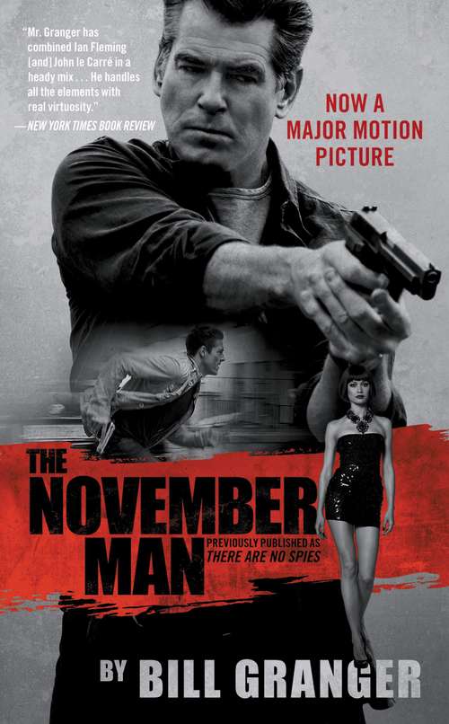 Book cover of The November Man