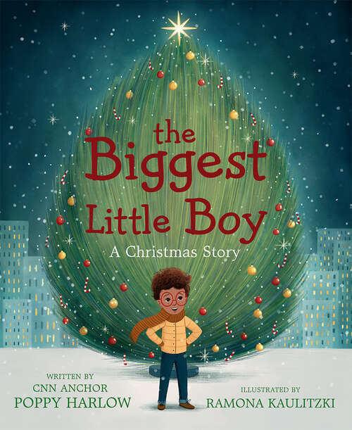 Book cover of The Biggest Little Boy: A Christmas Story