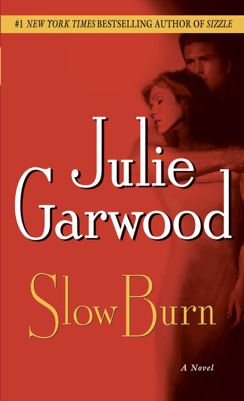 Book cover of Slow Burn: A Novel
