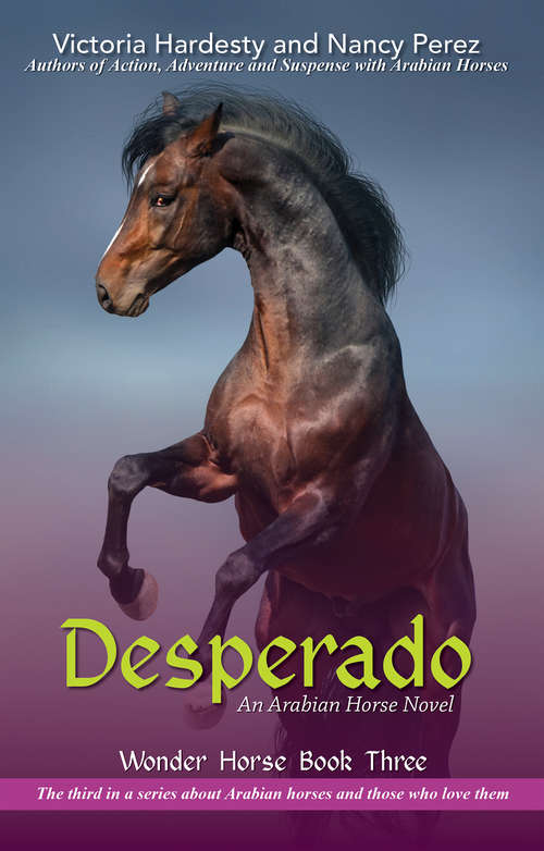 Book cover of Desperado: An Arabian Horse Novel