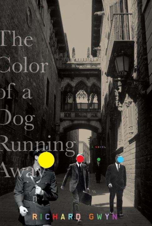 Book cover of The Color of a Dog Running Away