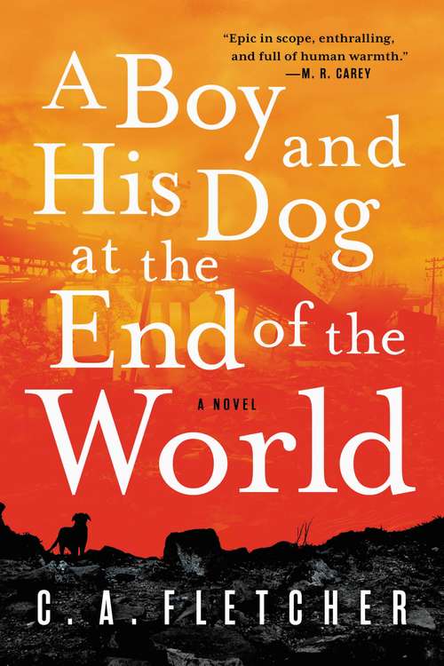 Book cover of A Boy and His Dog at the End of the World: A Novel