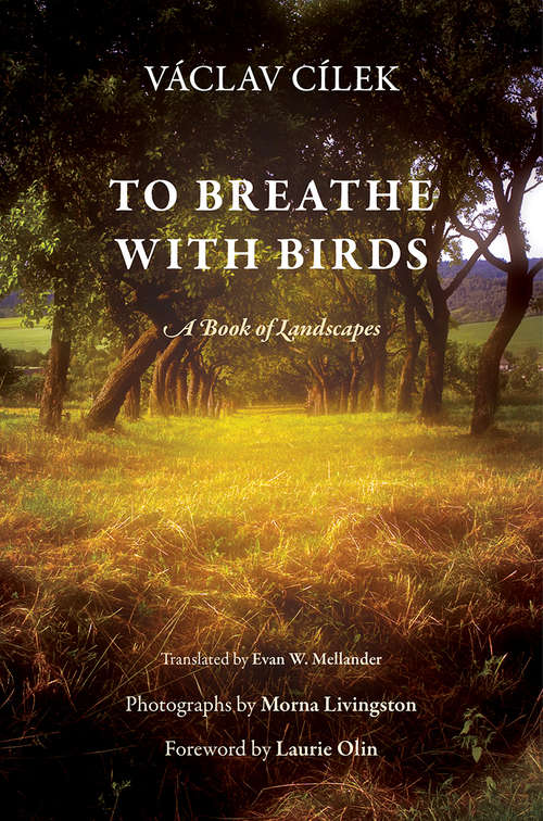 Book cover of To Breathe with Birds: A Book of Landscapes (Penn Studies in Landscape Architecture)