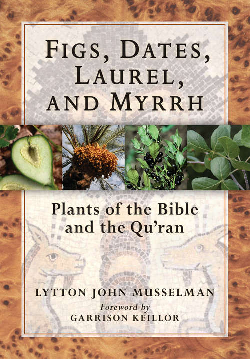 Book cover of Figs, Dates, Laurel, and Myrrh: Plants of the Bible and the Quran