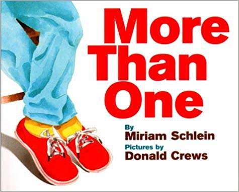 Book cover of More Than One