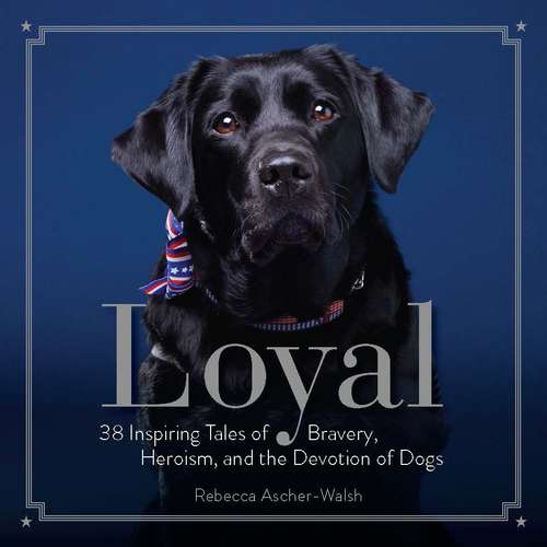 Book cover of Loyal: 38 Inspiring Tales of Bravery, Heroism, and the Devotion of Dogs
