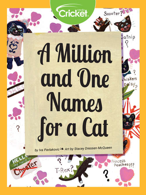 Book cover of A Million and One Names for a Cat