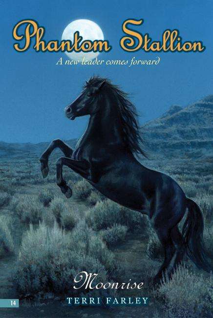 Book cover of Phantom Stallion #14: Moonrise