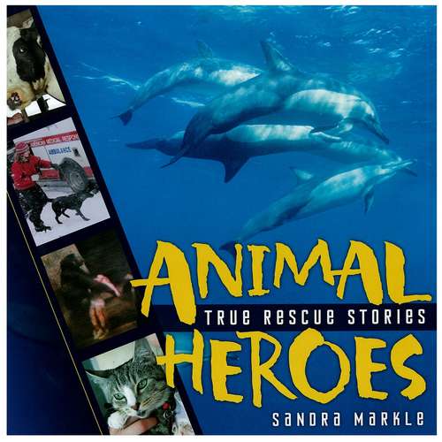 Animal Heroes: True Rescue Stories