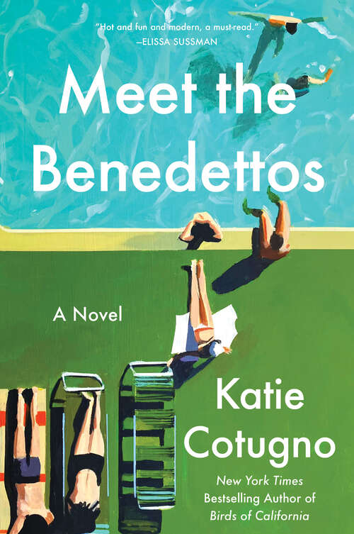 Book cover of Meet the Benedettos: A Novel