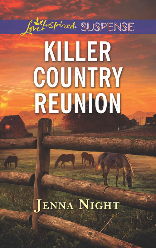 Book cover of Killer Country Reunion: Vanished In The Night Fatal Recall Killer Country Reunion