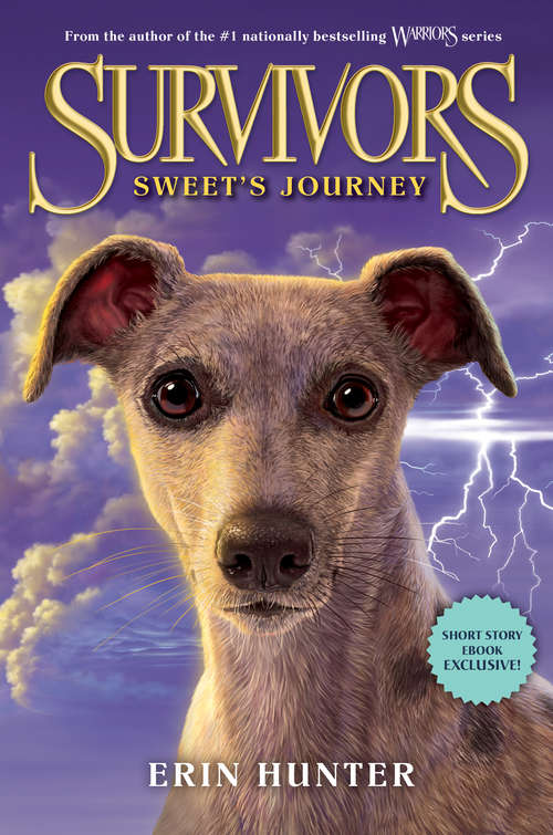 Book cover of Sweet's Journey (Survivors)