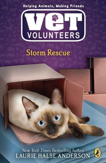 Book cover of Storm Rescue: Sunita (Vet Volunteers #6)