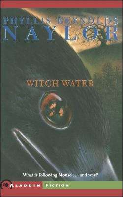 Book cover of Witch Water (The Witch #2)