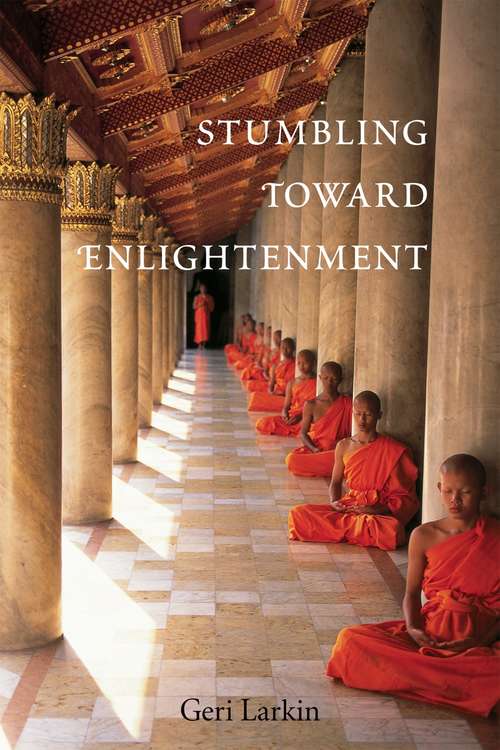 Book cover of Stumbling Toward Enlightenment