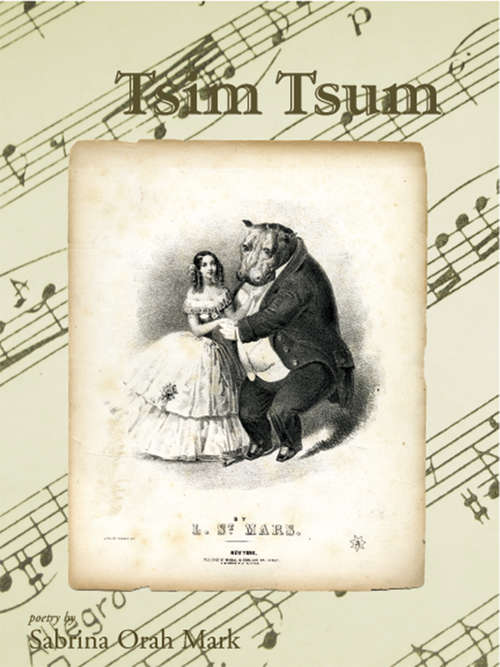 Book cover of Tsim Tsum