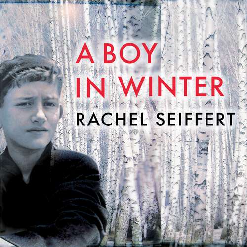 Book cover of A Boy in Winter