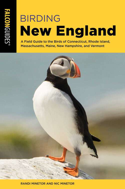 Book cover of Birding New England: A Field Guide to the Birds of Connecticut, Rhode Island, Massachusetts, Maine, New Hampshire, and Vermont (Birding Series)