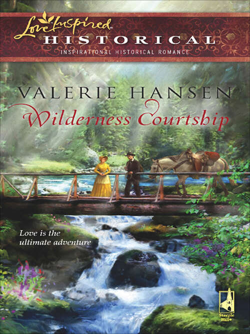 Book cover of Wilderness Courtship