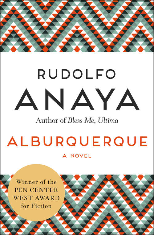 Book cover of Alburquerque