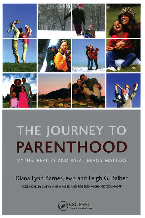 Book cover of The Journey to Parenthood: Myths, Reality and What Really Matters