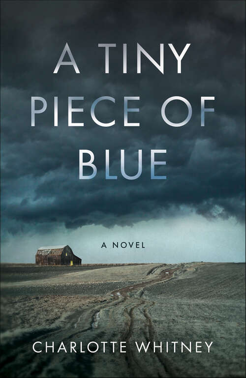 Book cover of A Tiny Piece of Blue: A Novel