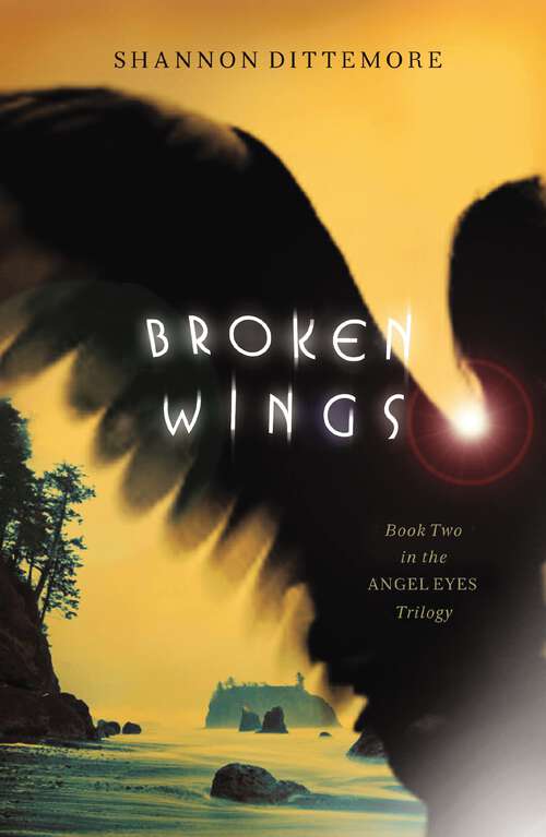 Book cover of Broken Wings (An Angel Eyes Novel #2)