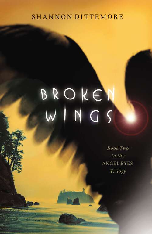 Book cover of Broken Wings