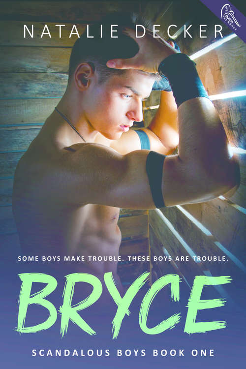 Book cover of Bryce