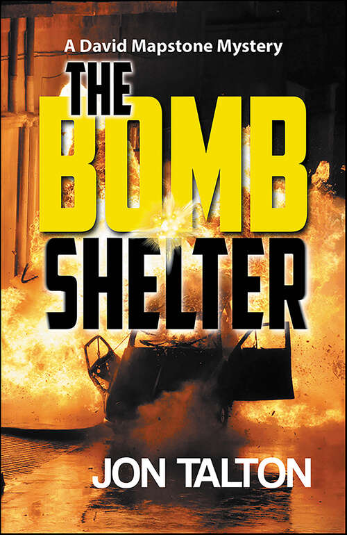 Book cover of The Bomb Shelter (David Mapstone Mysteries #9)