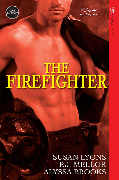 Book cover of The Firefighter