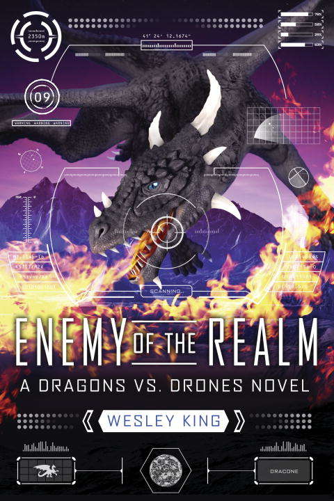 Book cover of Enemy of the Realm